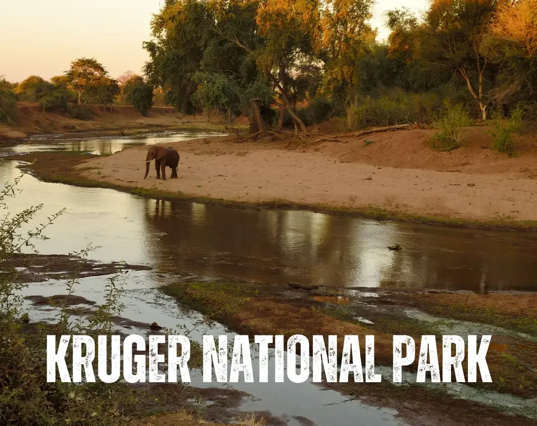 Kruger-National-Park