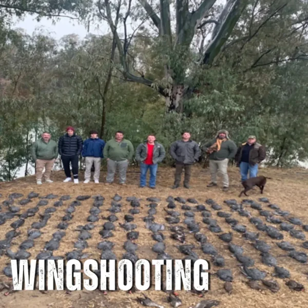 Wingshooting