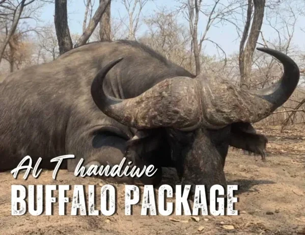 al-thandiwe-buffalo-package